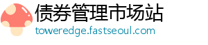 债券管理市场站